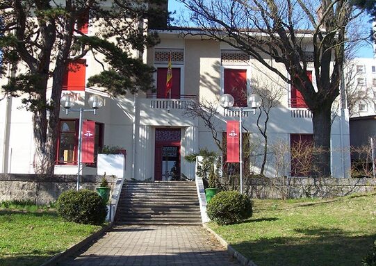 Photo sur l'ENT de présentation_ Instituto Cervantes.jpg