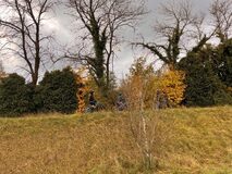 Galerie photo Activités sportives
